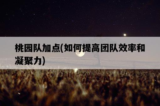 桃園隊加點，如何提高團隊效率和凝聚力-圖1