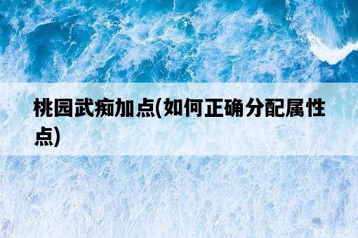 桃園武癡加點，如何正確分配屬性點-圖1