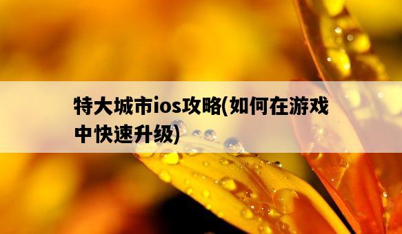 特大城市ios攻略，如何在游戲中快速升級-圖1