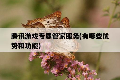 騰訊游戲專屬管家服務，有哪些優勢和功能-圖1