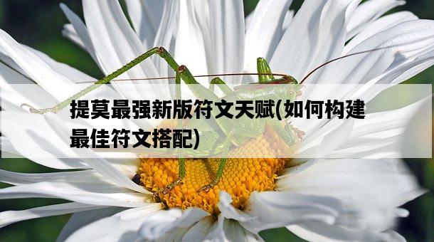 提莫最強新版符文天賦，如何構建最佳符文搭配-圖1