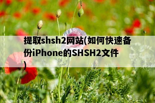 提取shsh2網站，如何快速備份iPhone的SHSH2文件-圖1