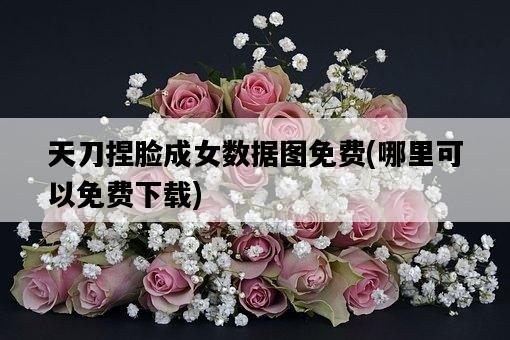 天刀捏臉成女數據圖免費,哪里可以免費下載-圖1 天刀捏臉成女數據圖免費,哪里可以免費下載-圖1
