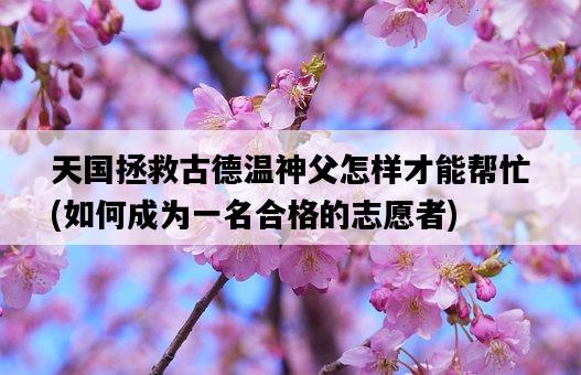 天國拯救古德溫神父怎樣才能幫忙,如何成為一名合格的志愿者-圖1 天國拯救古德溫神父怎樣才能幫忙,如何成為一名合格的志愿者-圖1