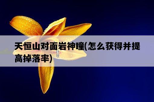 天恒山對面巖神瞳，怎么獲得并提高掉落率-圖1