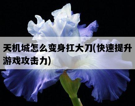 天機城怎么變身扛大刀，快速提升游戲攻擊力-圖1