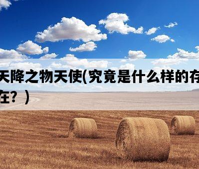 天降之物天使,究竟是什么樣的存在?-圖1 天降之物天使,究竟是什么樣的存在?-圖1
