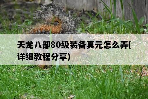 天龍八部80級裝備真元怎么弄,詳細教程分享-圖1 天龍八部80級裝備真元怎么弄,詳細教程分享-圖1