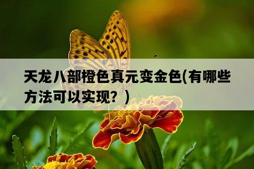 天龍八部橙色真元變金色，有哪些方法可以實現？-圖1