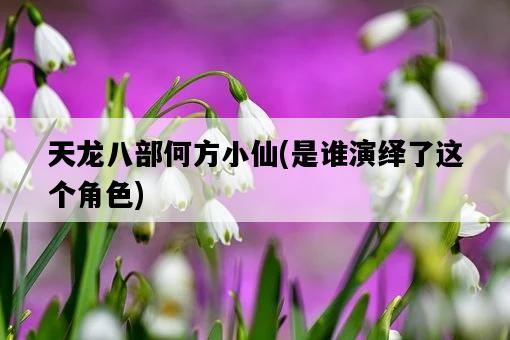 天龍八部何方小仙,是誰演繹了這個角色-圖1 天龍八部何方小仙,是誰演繹了這個角色-圖1