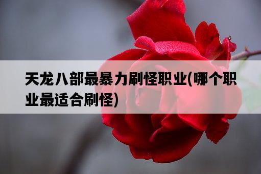 天龍八部最暴力刷怪職業，哪個職業最適合刷怪-圖1
