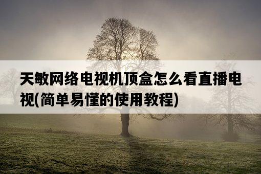 天敏網絡電視機頂盒怎么看直播電視,簡單易懂的使用教程-圖1 天敏網絡電視機頂盒怎么看直播電視,簡單易懂的使用教程-圖1