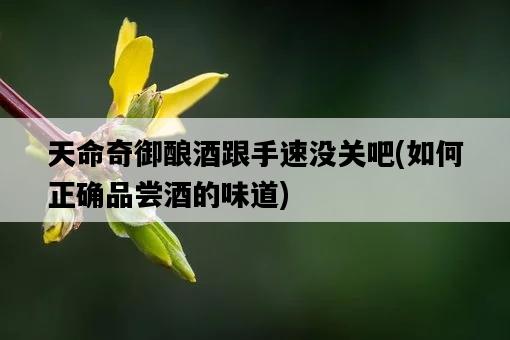 天命奇御釀酒跟手速沒關吧，如何正確品嘗酒的味道-圖1