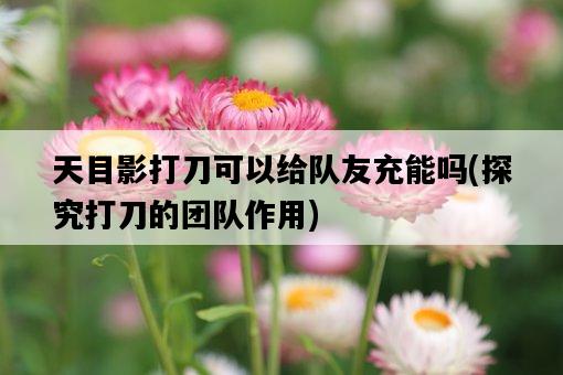 天目影打刀可以給隊友充能嗎，探究打刀的團隊作用-圖1