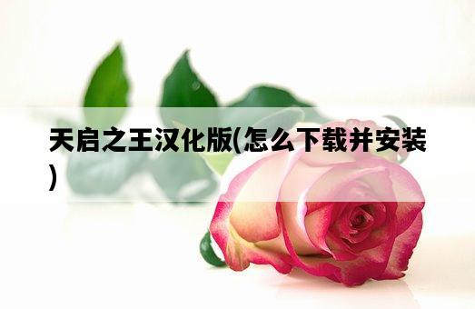 天啟之王漢化版，怎么下載并安裝-圖1