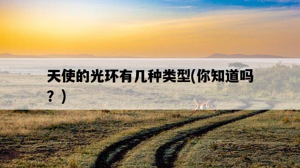 天使的光環有幾種類型，你知道嗎？-圖1