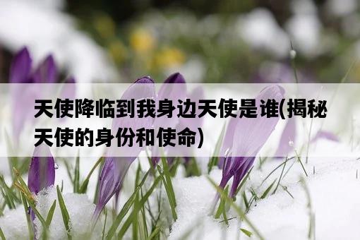 天使降臨到我身邊天使是誰，揭秘天使的身份和使命-圖1