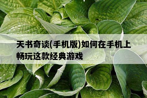 天書奇談,手機版如何在手機上暢玩這款經典游戲-圖1 天書奇談,手機版如何在手機上暢玩這款經典游戲-圖1