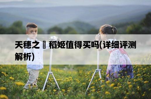 天穗之咲稻姬值得買嗎，詳細評測解析-圖1