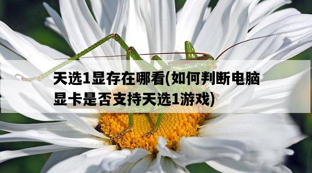 天選1顯存在哪看，如何判斷電腦顯卡是否支持天選1游戲-圖1