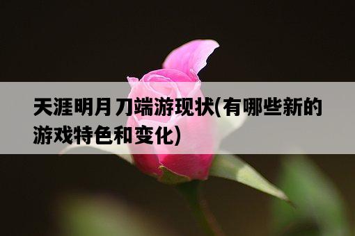 天涯明月刀端游現狀，有哪些新的游戲特色和變化-圖1