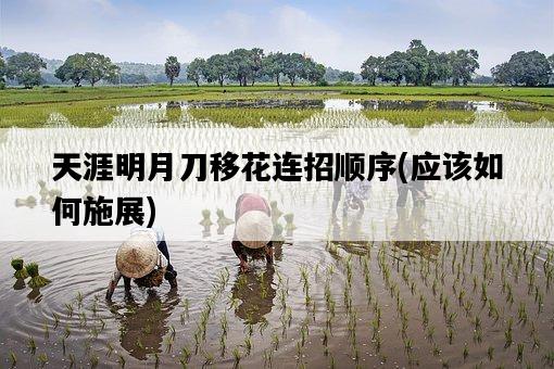 天涯明月刀移花連招順序，應該如何施展-圖1