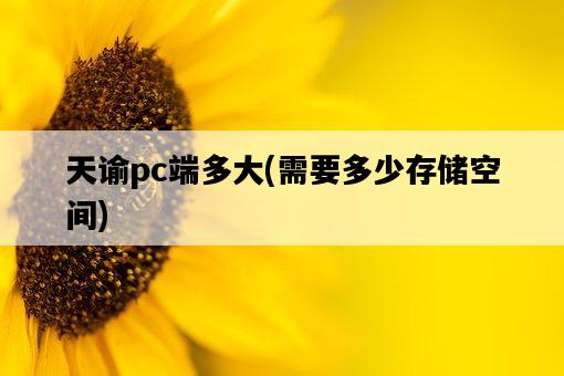 天諭pc端多大，需要多少存儲空間-圖1