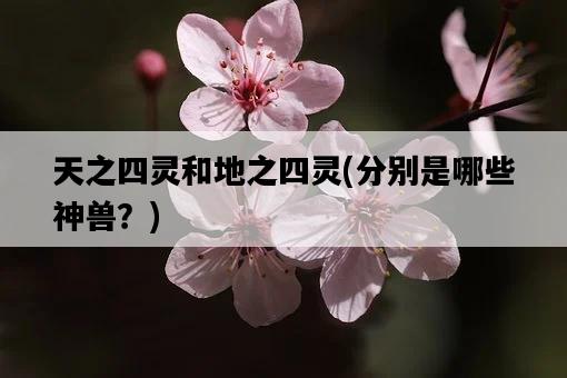 天之四靈和地之四靈，分別是哪些神獸？-圖1
