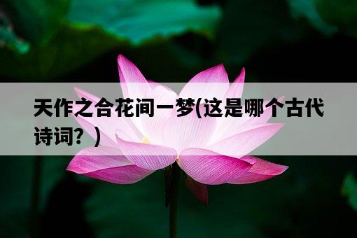 天作之合花間一夢，這是哪個古代詩詞？-圖1