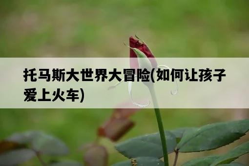 托馬斯大世界大冒險，如何讓孩子愛上火車-圖1