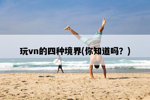 玩vn的四種境界，你知道嗎？-圖1