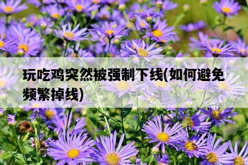 玩吃雞突然被強制下線，如何避免頻繁掉線-圖1