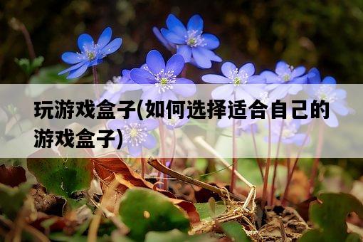 玩游戲盒子，如何選擇適合自己的游戲盒子-圖1