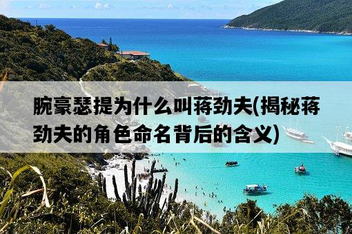 腕豪瑟提為什么叫蔣勁夫，揭秘蔣勁夫的角色命名背后的含義-圖1