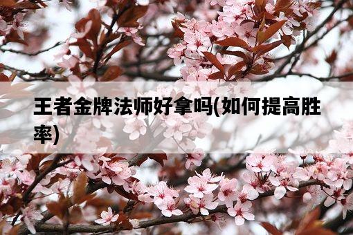 王者金牌法師好拿嗎，如何提高勝率-圖1