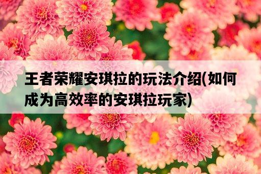 王者榮耀安琪拉的玩法介紹，如何成為高效率的安琪拉玩家-圖1