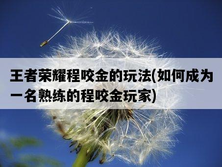 王者榮耀程咬金的玩法，如何成為一名熟練的程咬金玩家-圖1
