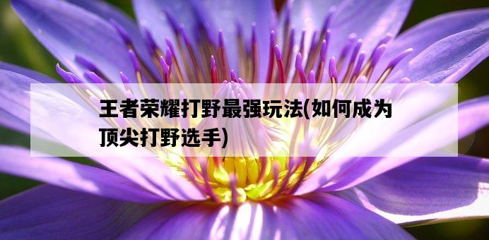 王者榮耀打野最強玩法，如何成為頂尖打野選手-圖1