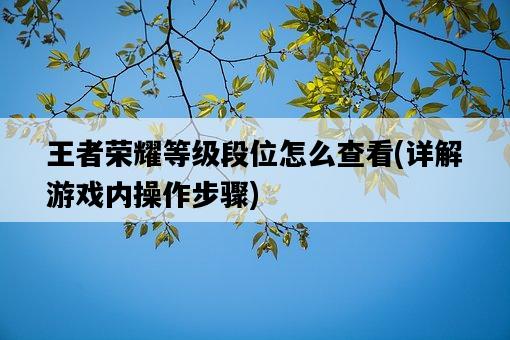 王者榮耀等級段位怎么查看,詳解游戲內操作步驟-圖1 王者榮耀等級段位怎么查看,詳解游戲內操作步驟-圖1