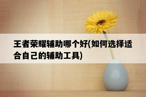 王者榮耀輔助哪個好，如何選擇適合自己的輔助工具-圖1