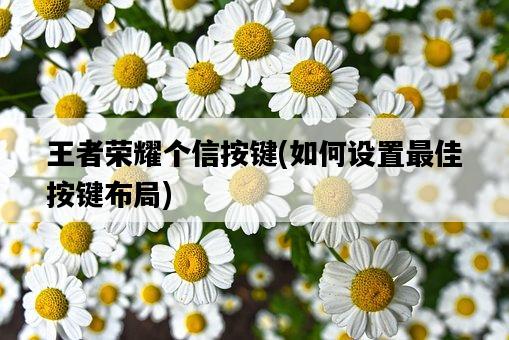 王者榮耀個信按鍵，如何設置最佳按鍵布局-圖1