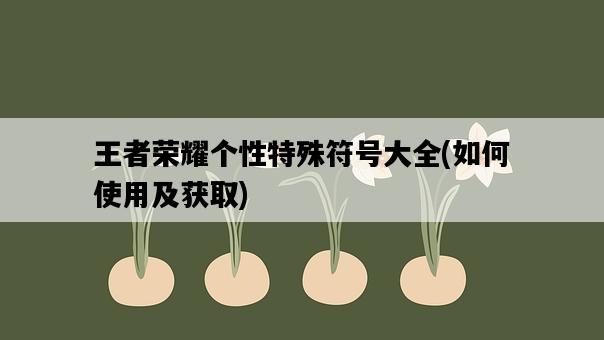 王者榮耀個性特殊符號大全，如何使用及獲取-圖1