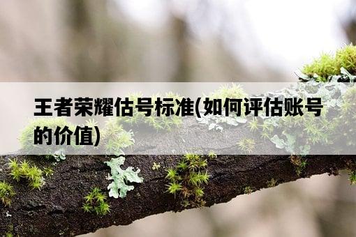 王者榮耀估號標準，如何評估賬號的價值-圖1