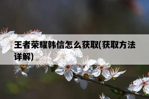 王者榮耀韓信怎么獲取，獲取方法詳解-圖1