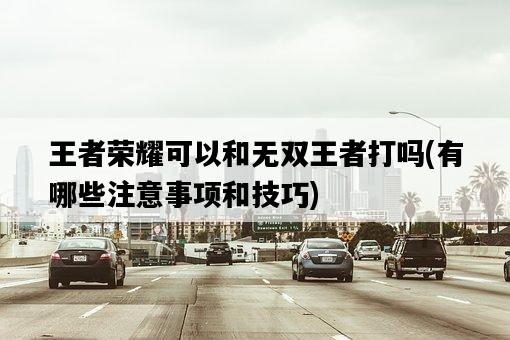 王者榮耀可以和無雙王者打嗎，有哪些注意事項和技巧-圖1