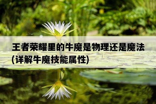 王者榮耀里的牛魔是物理還是魔法，詳解牛魔技能屬性-圖1