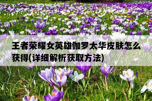 王者榮耀女英雄伽羅太華皮膚怎么獲得，詳細解析獲取方法-圖1