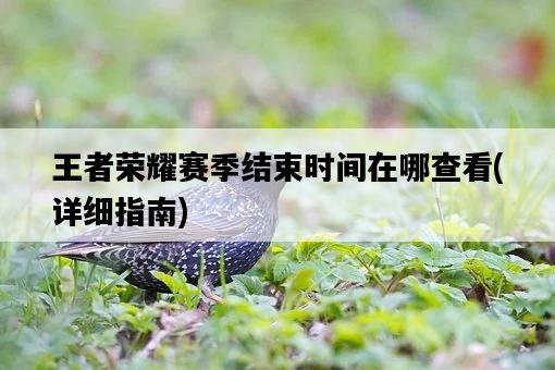 王者榮耀賽季結束時間在哪查看，詳細指南-圖1