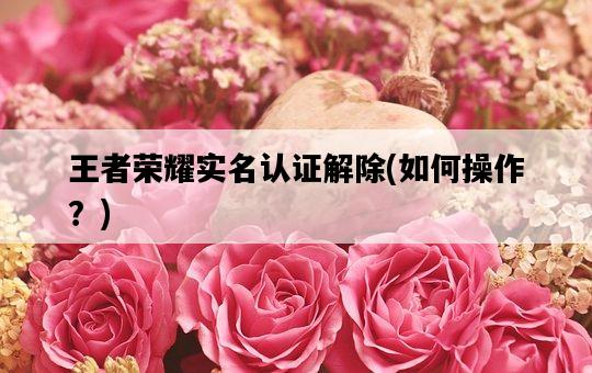 王者榮耀實名認證解除,如何操作?-圖1 王者榮耀實名認證解除,如何操作?-圖1