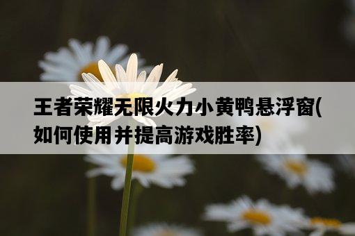 王者榮耀無限火力小黃鴨懸浮窗，如何使用并提高游戲勝率-圖1